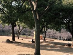 -苏州上方山国家森林公园
