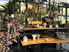 -北马山庄植趣咖啡
