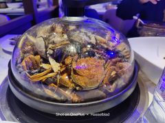 -半岛听涛蒸汽海鲜自助(K11店)