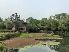 -中国茶叶博物馆(双峰馆区)