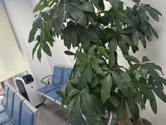 -华硕笔记本电脑售后维修(华博科技大楼店)