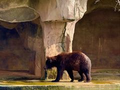 -海南热带野生动植物园