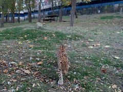 -大连森林动物园