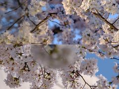 -龙美术馆(西岸馆)