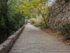 -北京植物园-展览温室