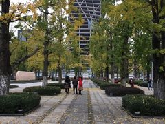 -百林公园-两江幸福广场