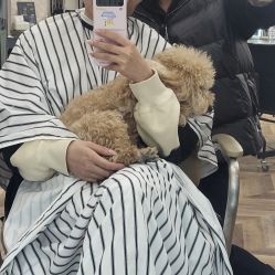 -Hair Co.一间沙龙