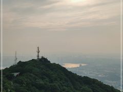 -紫金山山顶公园