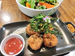 -百好乐宠物友好餐厅(朝外大街店)