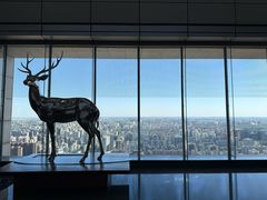-北京柏悦酒店·锦庭餐厅Dining Room