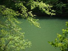 -青龙山国家森林公园