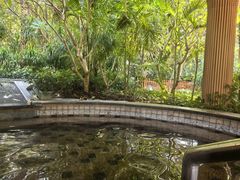 -碧水湾温泉