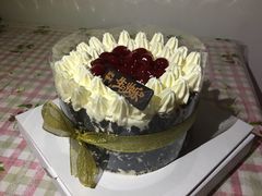 -维尔纳斯·生日蛋糕·动物奶油冰淇淋蛋糕(六里桥店)