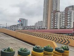 -白云驾校(樟树林校区)