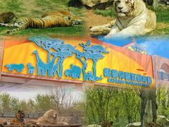 -北京野生动物园