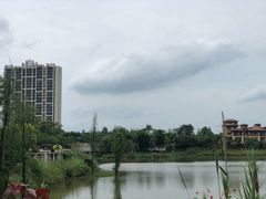 -美的鹭湖探索王国