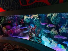 -沈阳海洋探索中心