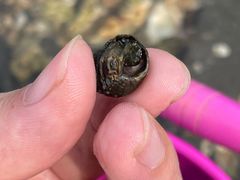 -宾朋海鲜美食餐厅·特色美食(兴海路店)