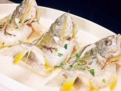 -美未居·老字号·地道顺德菜·桑拿鸡·鱼生(容桂店)