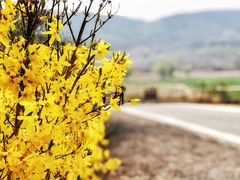 -大连铭湖国际观光牧场
