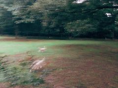 -紫霞湖公园