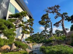 -罗红摄影艺术馆