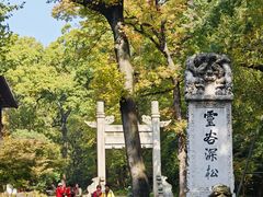 -灵谷景区