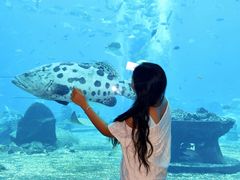 -亚特兰蒂斯•OSSIANO奥西亚诺海底餐厅