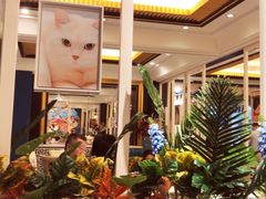 -猫先生时尚火锅(桂平路店)