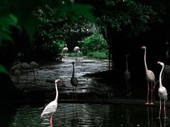 -九龙公园