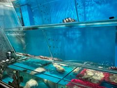 -鲜入围煮花胶鸡海鲜火锅