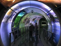 -房山世界地质公园博物馆