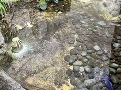 -青青世界