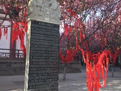 -西安青龙寺遗址景区