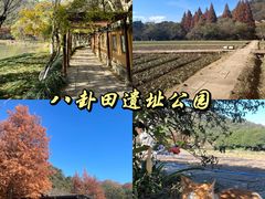 -八卦田遗址公园