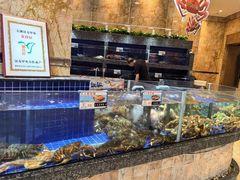 -粤珍轩·家宴·广式茶点(新城广场店)