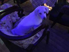 -小岛98(小岛酒吧)