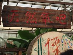 -呀路古热带植物园