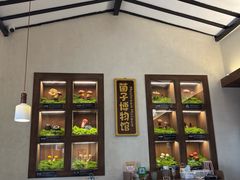 -菌自由丨野生菌火锅特色庭院餐厅(丽江古城店)