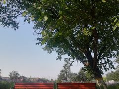 -静之湖湖畔餐厅