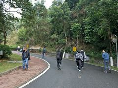-火炉山森林公园