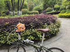-钟山体育运动公园