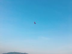 -光明小镇欢乐田园