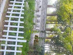 -安德鲁户外烧烤帐篷营地(马泉营店)