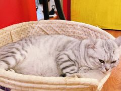 -H立方实景剧情密室(天河旗舰店)