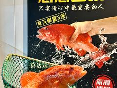 -金龙·打边炉(南京西路店)