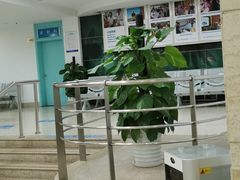 -上海大学附属上海和平眼科医院