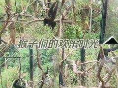 -红山森林动物园