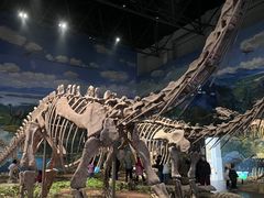 -自贡恐龙博物馆