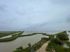 -盐城丹顶鹤湿地生态旅游区